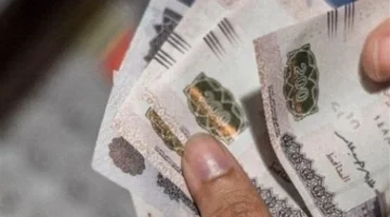 موعد نهائي.. وزارة المالية تحدد تاريخ صرف رواتب نوفمبر 2025 بشكل قاطع